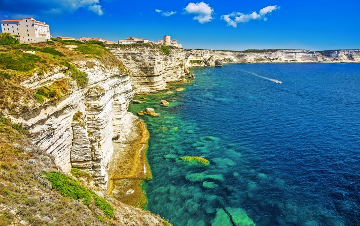 Bonifacio