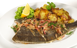 Gebackener Fisch mit Bratkartoffeln, Salat und Zitronenscheibe auf weißem Teller.