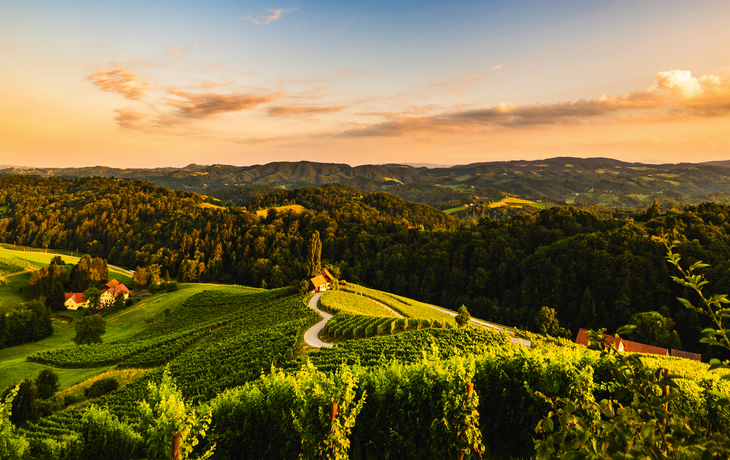 berühmte herzförmige Straße bei den Weinbergen in Slowenien nahe der Grenze zur österreichischen Südsteiermark