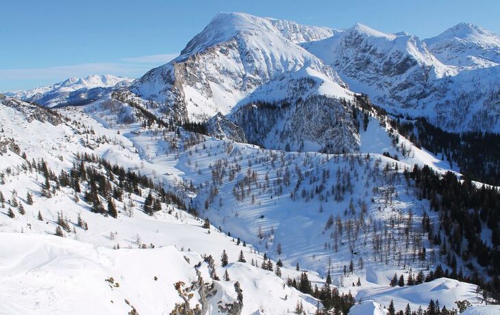 Blick vom Jenner